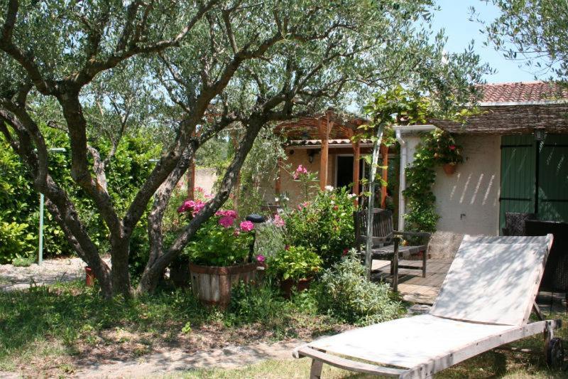 Gite Des Oliviers La Roque-sur-Cèze Exterior foto
